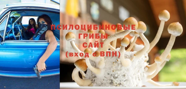 метадон Горнозаводск