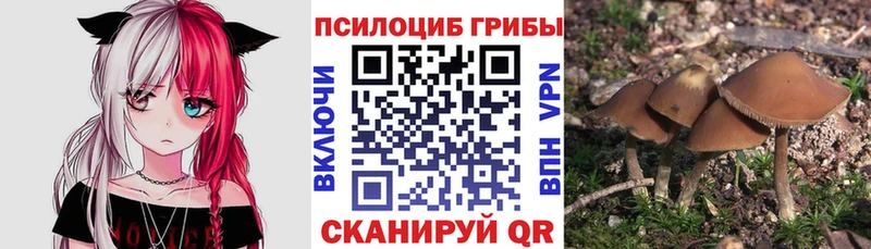 Псилоцибиновые грибы Cubensis  наркота  Дубна 