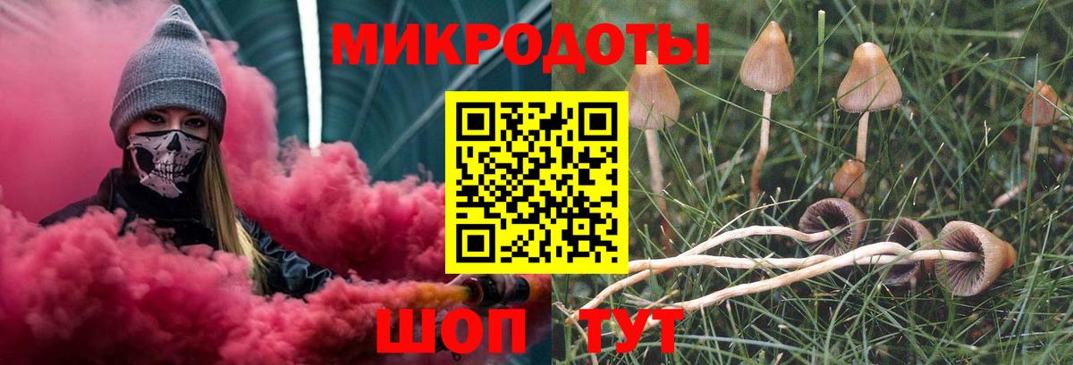 Галлюциногенные грибы GOLDEN TEACHER Дубна