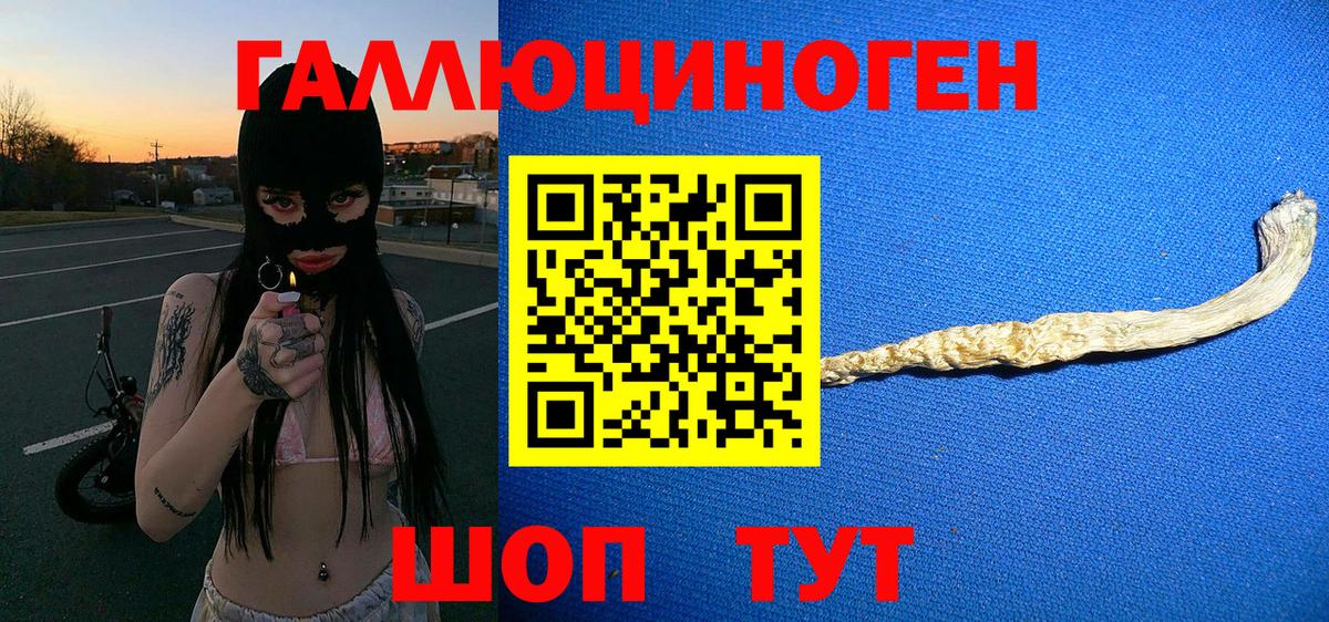 Дубна  Галлюциногенные грибы MAGIC MUSHROOMS  Вход с VPN 